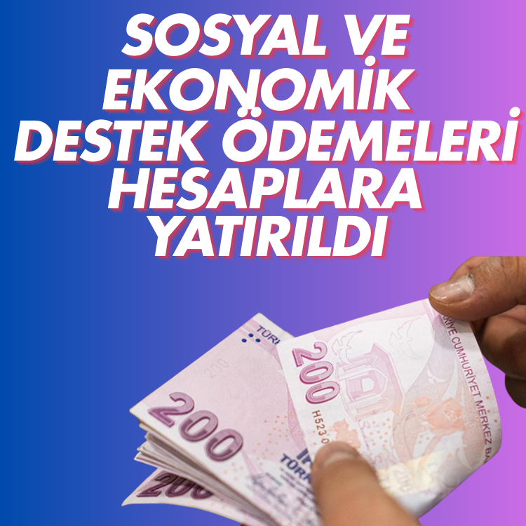 Sosyal ve Ekonomik Destek ödemeleri hesaplara yatırıldı
