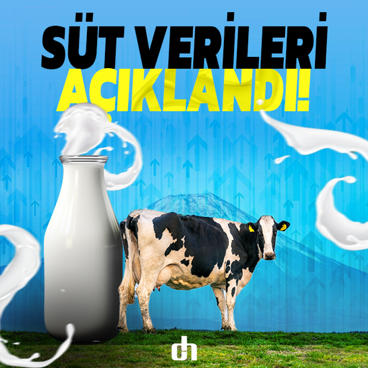 Çiğ süt üretimi geriledi mi? TÜİK istatistikleri açıkladı!