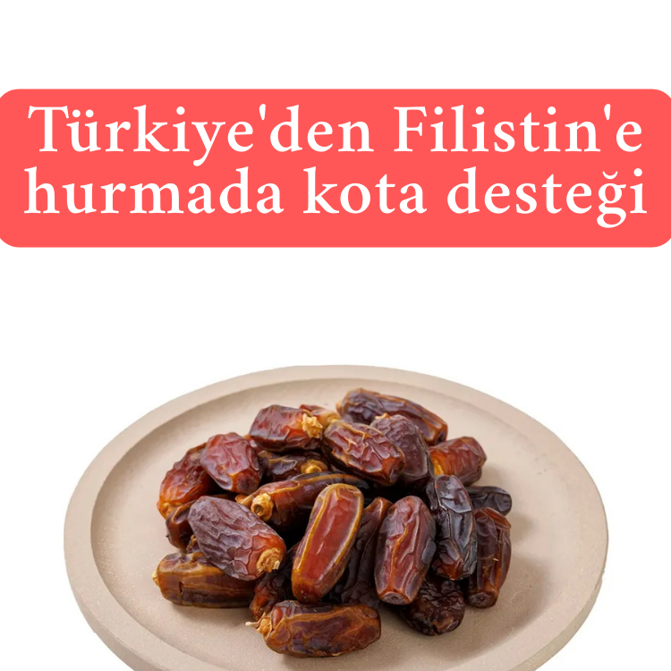 Türkiye'den Filistin'e hurmada kota desteği