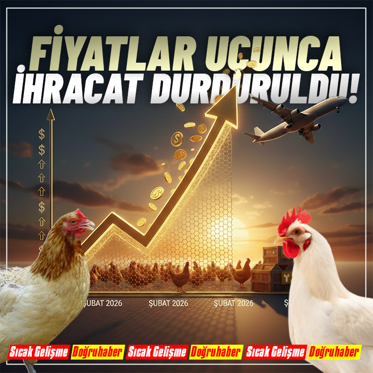 Son dakika: Tavuk ihracatı durduruldu