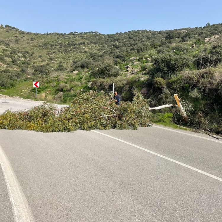 Muğla’da kuvvetli fırtına hayatı olumsuz etkiledi!