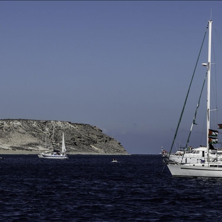 Küresel Sumud Filosu'nun yeni sefer tarihi belli oldu