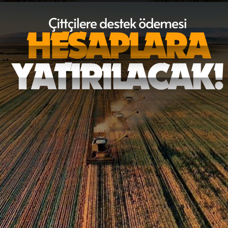 Çittçilere destek ödemesi hesaplara yatırılacak!