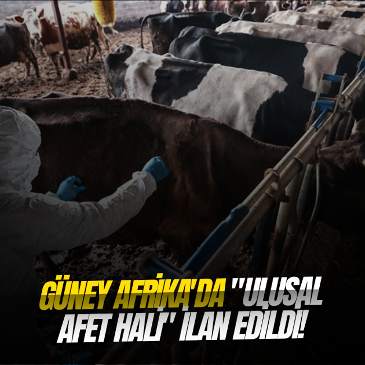 Güney Afrika'da "ulusal afet hali" ilan edildi!