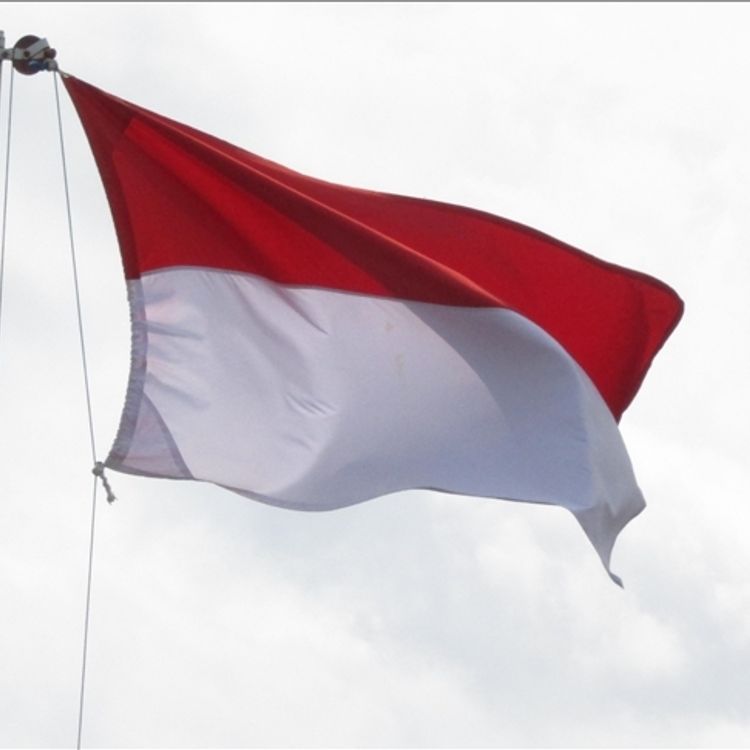 Endonezya Gazze için oluşturulan Barış Kurulu'ndan ayrılmaya hazır