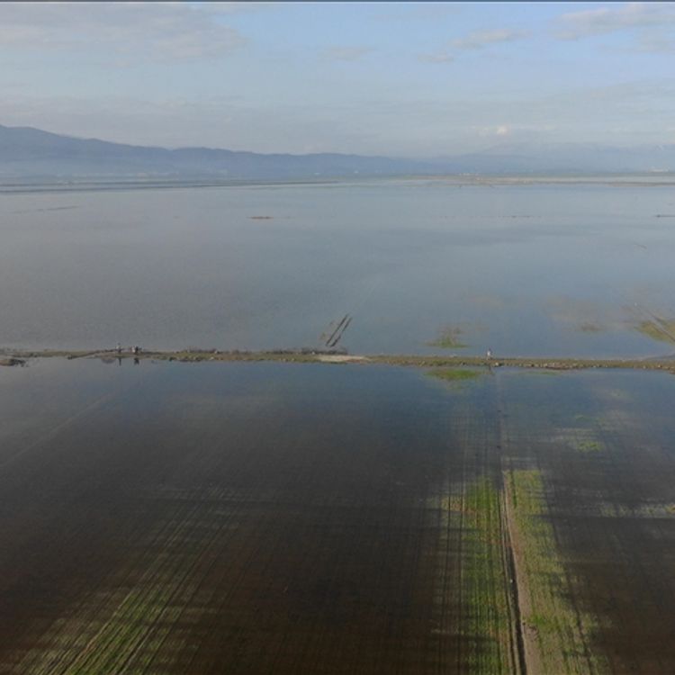 Binlerce dönüm tarım arazisi su altında kaldı!