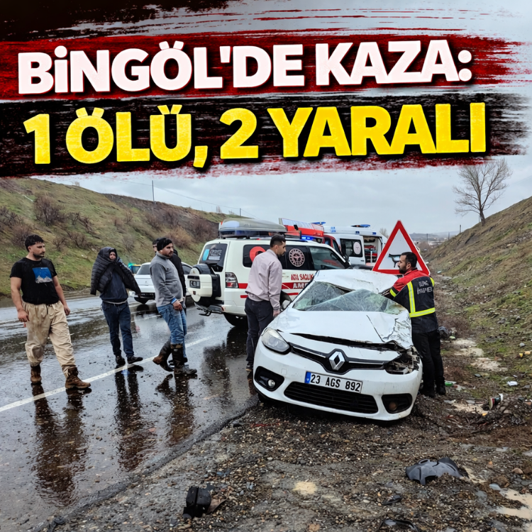 Bingöl'de kaza: 1 ölü, 2 yaralı