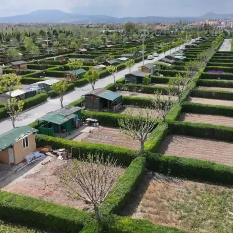 Hobi bahçeleri için imar affı şansı var mı?