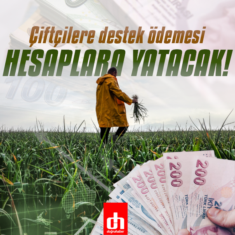 Çiftçilere destek ödemesi yapılacak