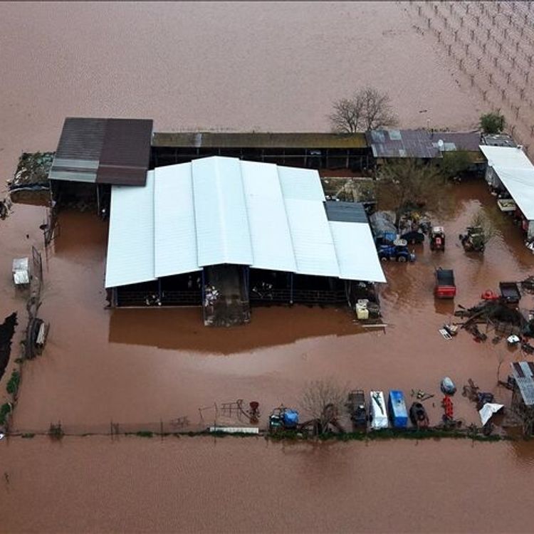 Gediz Nehri taştı, tarım arazileri su altında kaldı