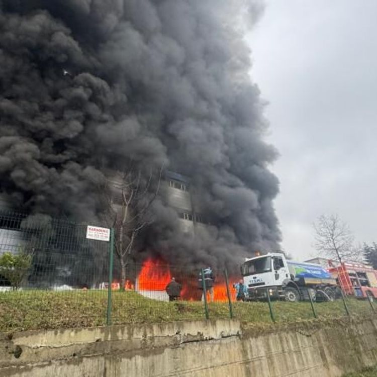 Fındık fabrikası deposunda yangın!