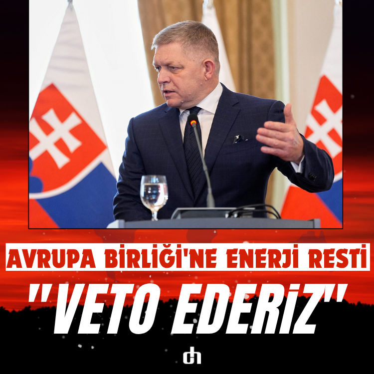 Avrupa Birliği'ne Enerji Resti: "Veto Ederiz"