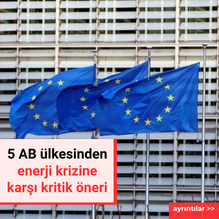 5 AB ülkesinden enerji krizine karşı kritik öneri