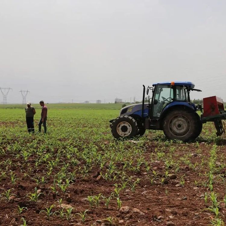 Çiftçilere 17,4 milyar liralık destek ödemesi