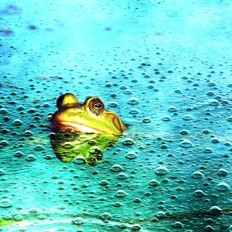 Uzmanlardan uyarı: Yapay zekâya güvenmek "Haşlanan kurbağa" etkisiyle zihinsel becerileri köreltiyor