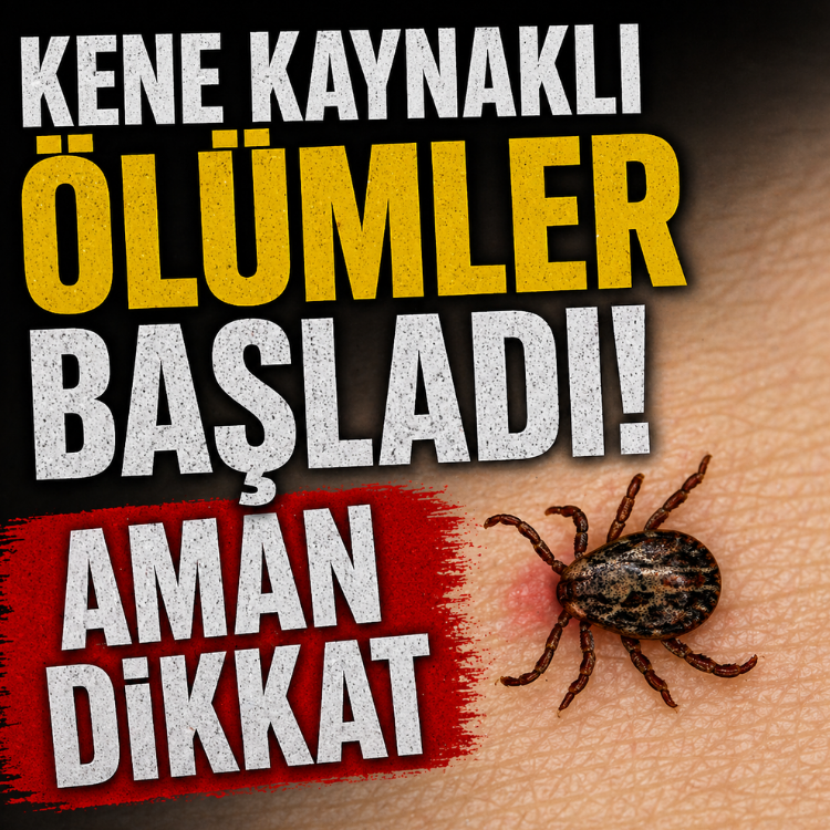 Kene kaynaklı ölümler başladı.. Aman dikkat