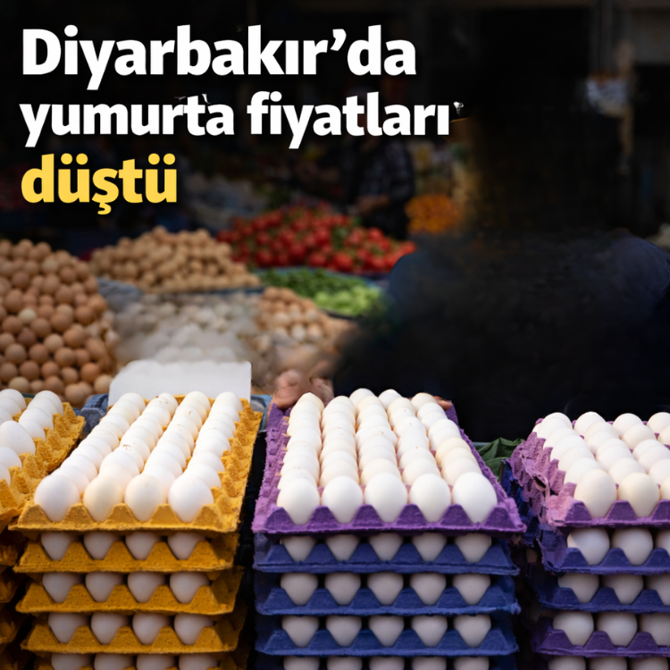 Diyarbakır'da yumurta fiyatları düştü