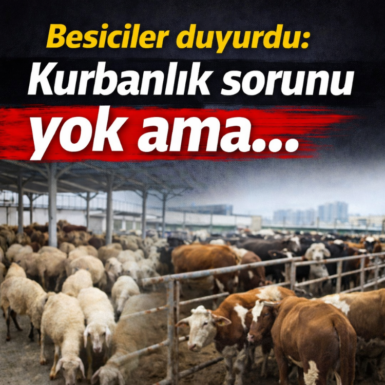 Besiciler duyurdu: Kurbanlık sorunu yok ama...