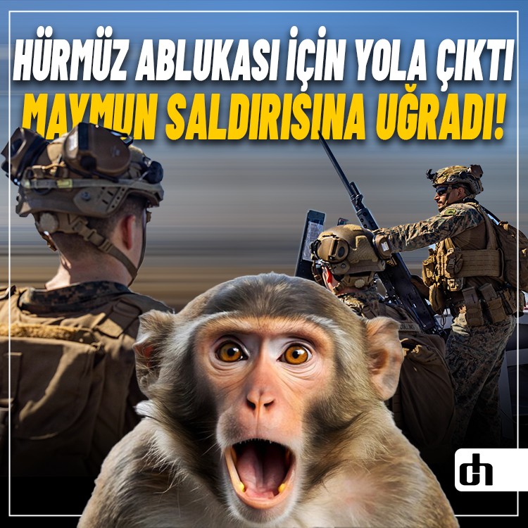 Hürmüz Ablukası için Yola Çıktı: Maymun Saldırısına Uğradı!