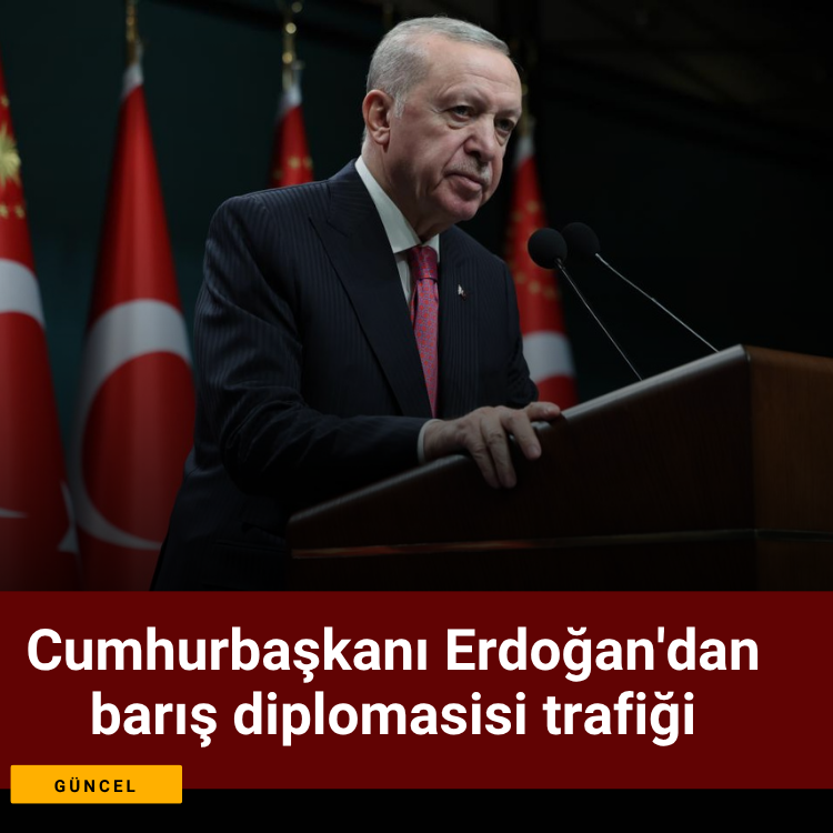 Cumhurbaşkanı Erdoğan'dan barış diplomasisi trafiği