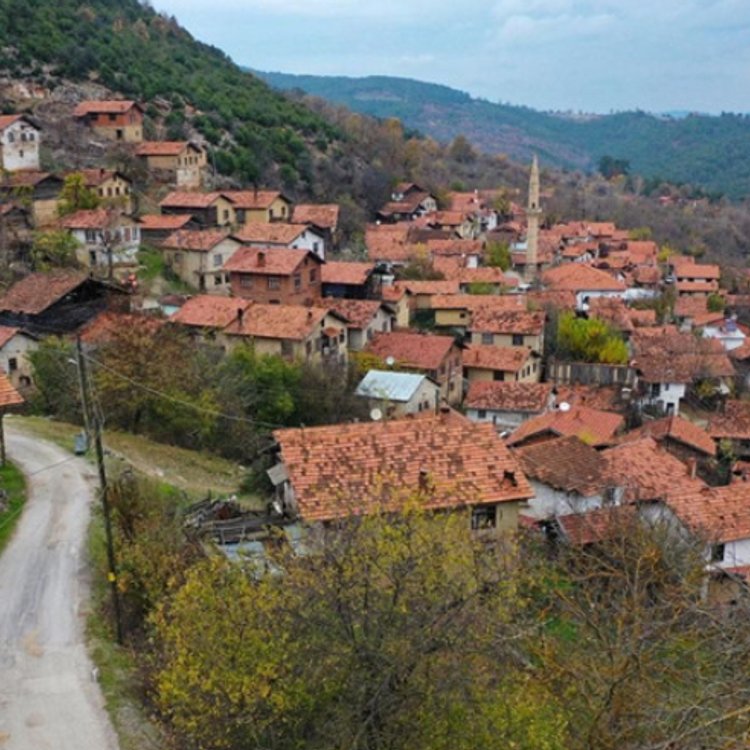 Türkiye'nin en tenha köyleri belli oldu! Nüfusu bakın kaç kişiden oluşuyor?