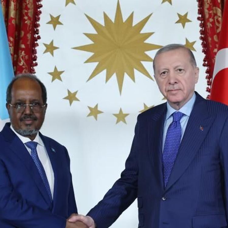 Cumhurbaşkanı Erdoğan, Somali Cumhurbaşkanı ile görüştü!