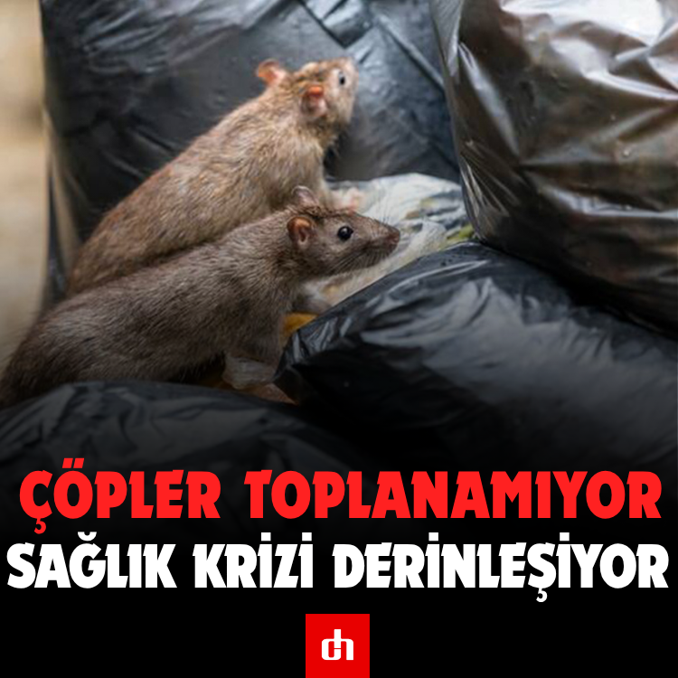 Çöpler toplanamıyor: Sağlık krizi derinleşiyor
