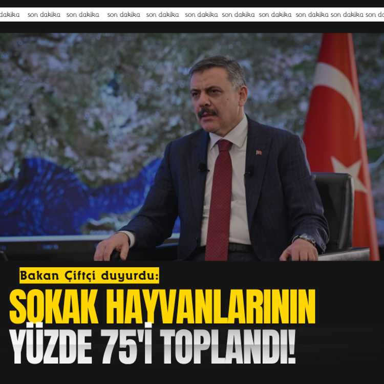 Bakan Çiftçi duyurdu: Sokak hayvanlarının yüzde 75'i toplandı!