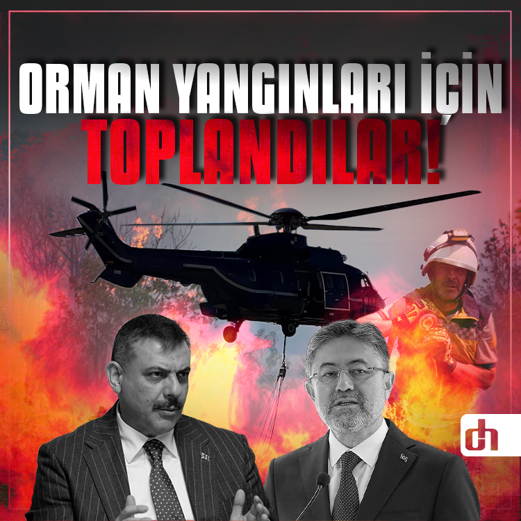 Orman Yangınları Başladı: Bakanlıklar Harekete Geçti! Tüm Riskler Ele Alınacak...
