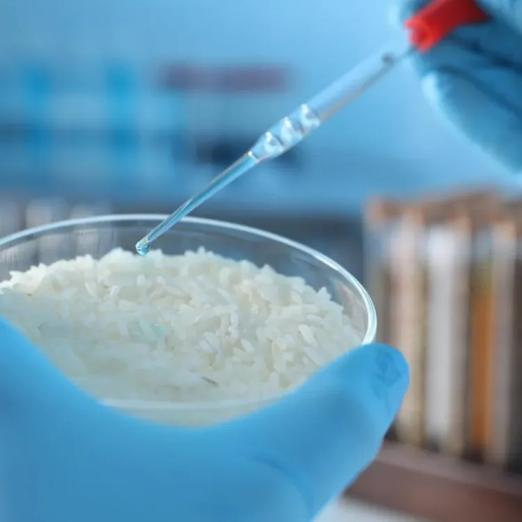 Pirinçten, darbeye göre şekil değiştiren akıllı malzeme üretildi