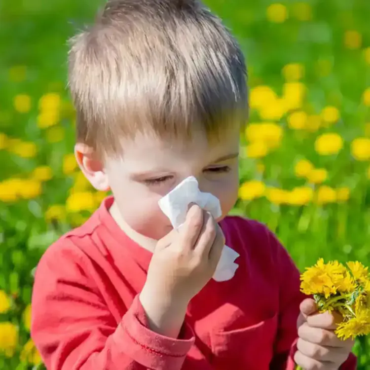 İklim değişikliği ve hava kirliliği alerjileri tetikliyor!