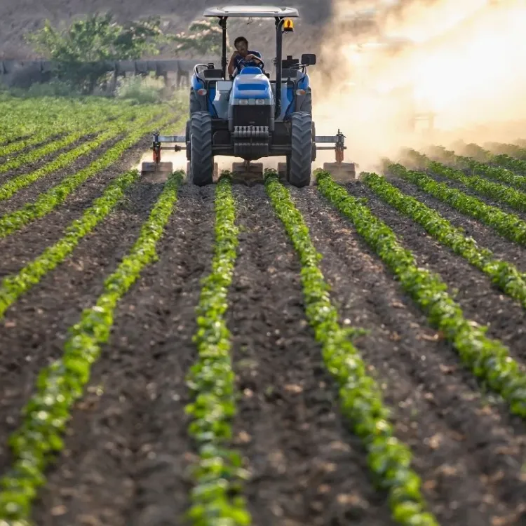 Tarımsal girdi maliyetleri artıyor