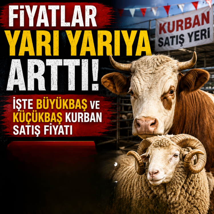 Fiyatlar yarı yarıya arttı.. İşte büyükbaş ve küçükbaş kurban satış fiyatı