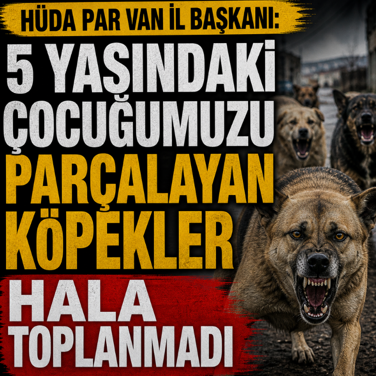 HÜDA PAR Van İl Başkanı: 5 yaşındaki çocuğumuzu parçalayan köpekler hala toplanmadı