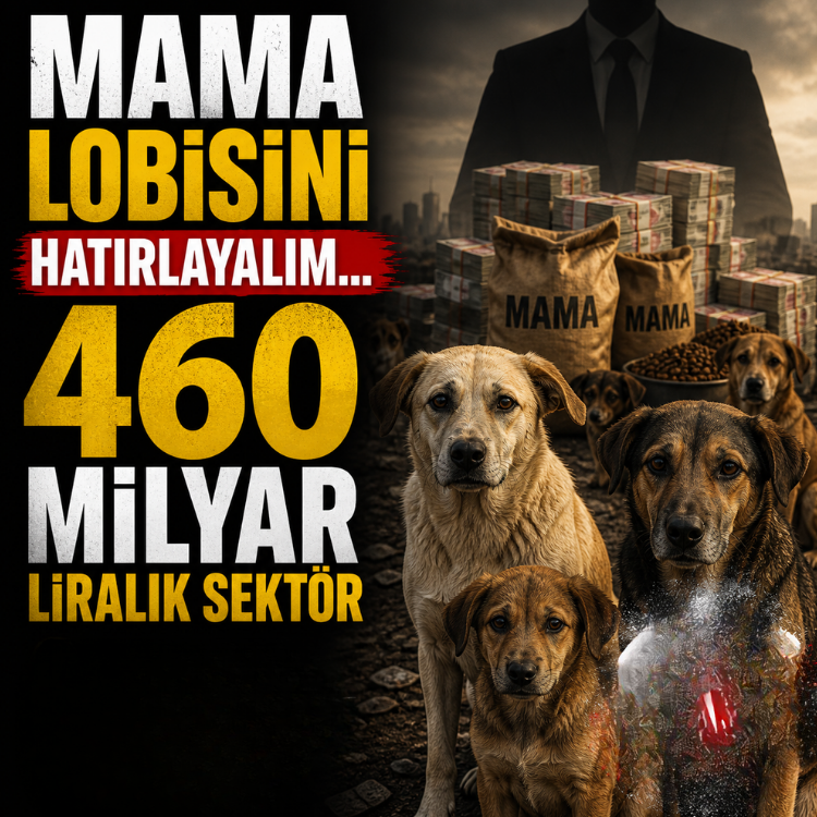 Mama lobisini hatırlayalım...460 milyar liralık sektör