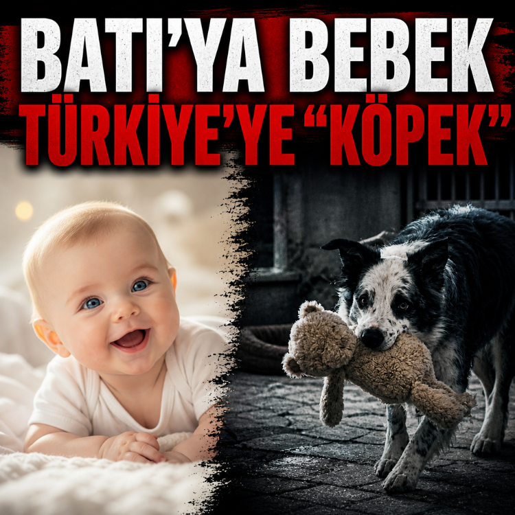 Bosch ve BBC.. Batı'ya bebek, Türkiye'ye ''köpek''