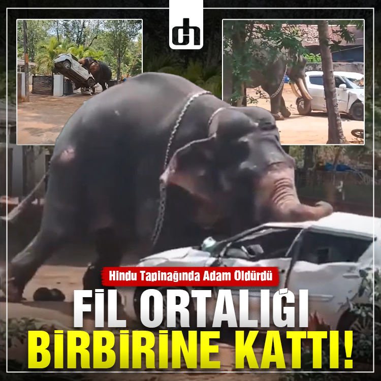 Kızgın fil Hindu tapınağına daldı: Bir adamı öldürdü!