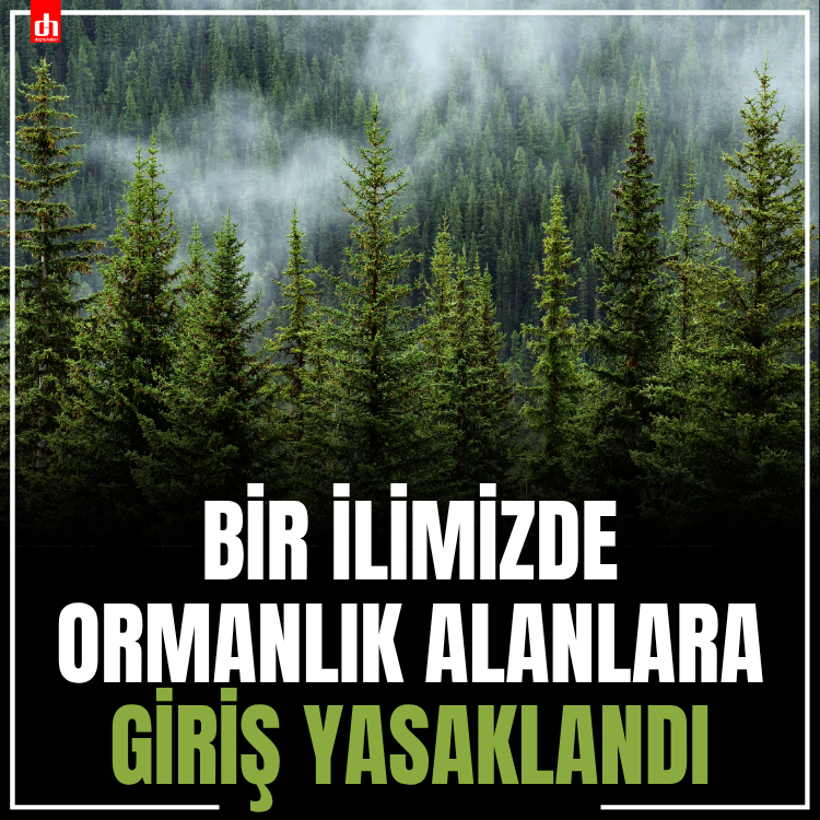 Bir ilimizde ormanlık alanlara giriş yasaklandı