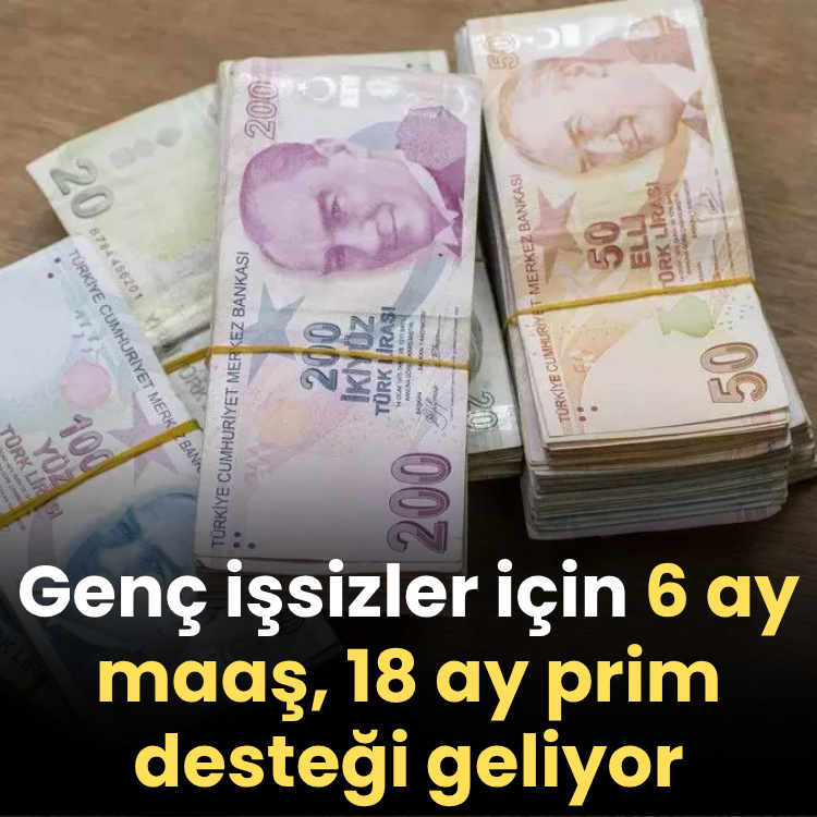 Genç işsizler için 6 ay maaş, 18 ay prim desteği geliyor