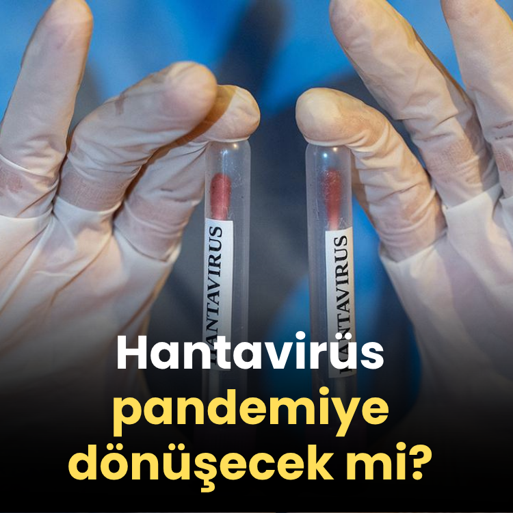 Hantavirüs pandemiye dönüşecek mi?