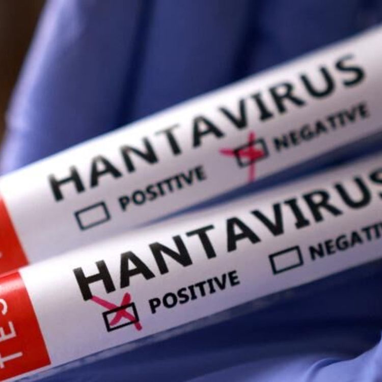 İngiltere duyurdu: Bir vatandaşta daha hantavirüs şüphesi tespit edildi!