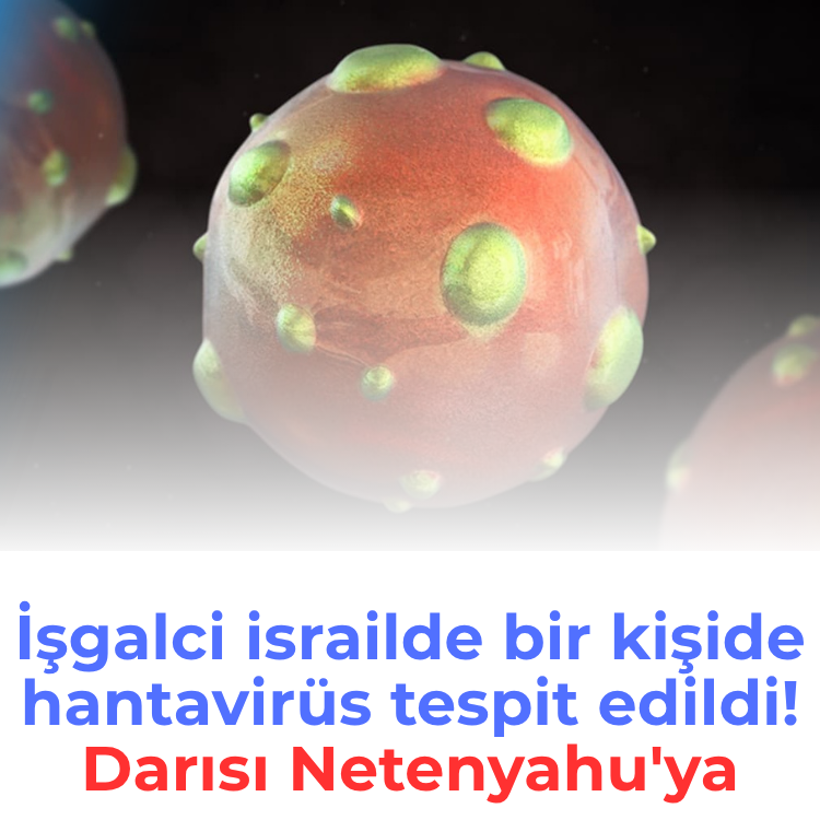 İşgalci israilde bir kişide hantavirüs tespit edildi! Darısı Netenyahu'ya