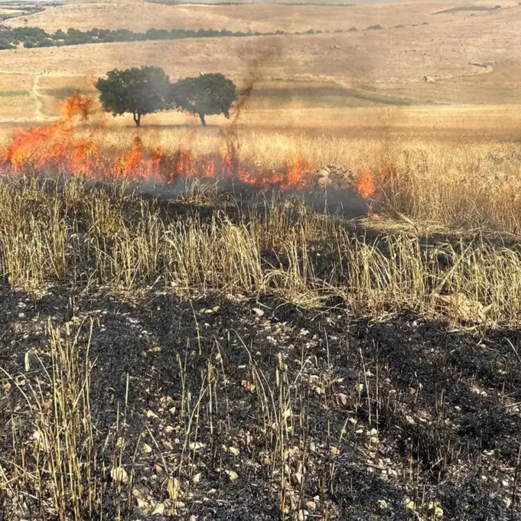 Diyarbakır’da buğday ekili alanda yangın!
