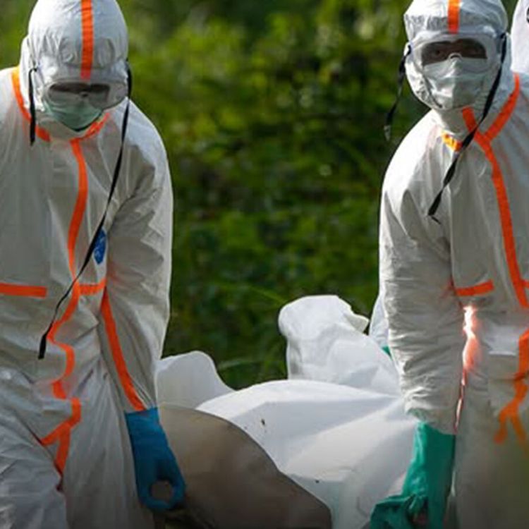 Demokratik Kongo Cumhuriyeti'nde Ebola alarmı!