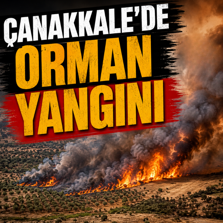 Çanakkale'de orman yangını
