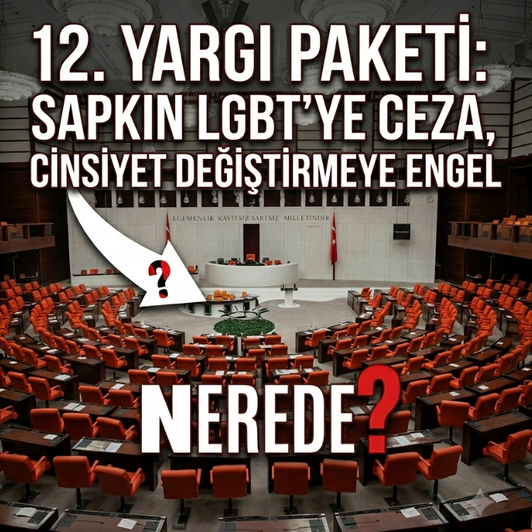 12. Yargı paketi: Sapkın LGBT'ye ceza, cinsiyet değiştirmeye engel nerede?