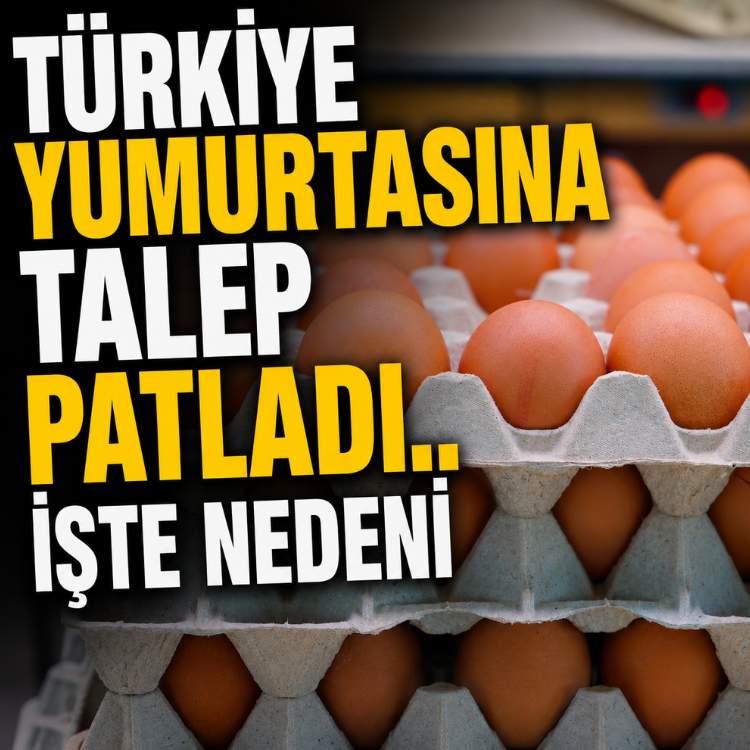 Türkiye yumurtasına talep patladı.. İşte nedeni