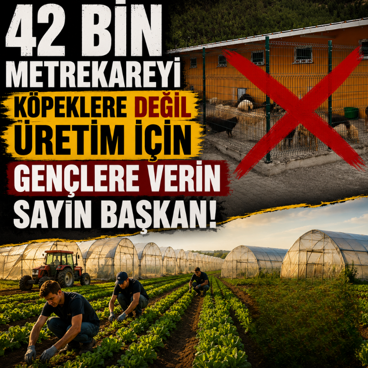 42 bin metrekareyi köpeklere değil üretim için gençlere verin sayın başkan!
