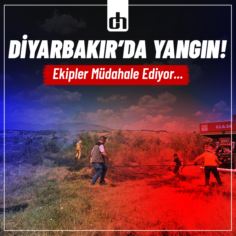 Diyarbakır'da ağaçlık alanda yangın! Müdahale ediliyor...
