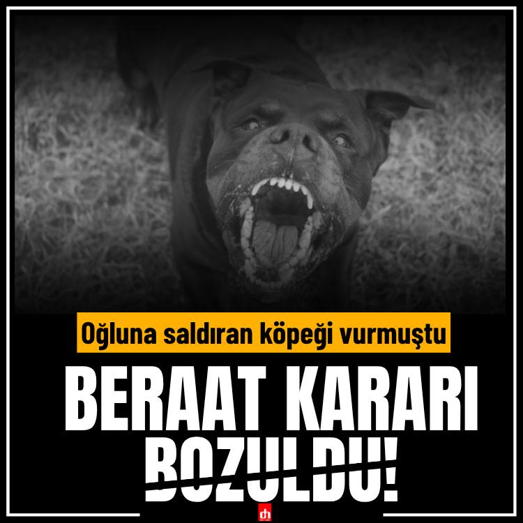 Oğluna saldıran köpeği vurmuştu: Beraat kararı bozuldu!